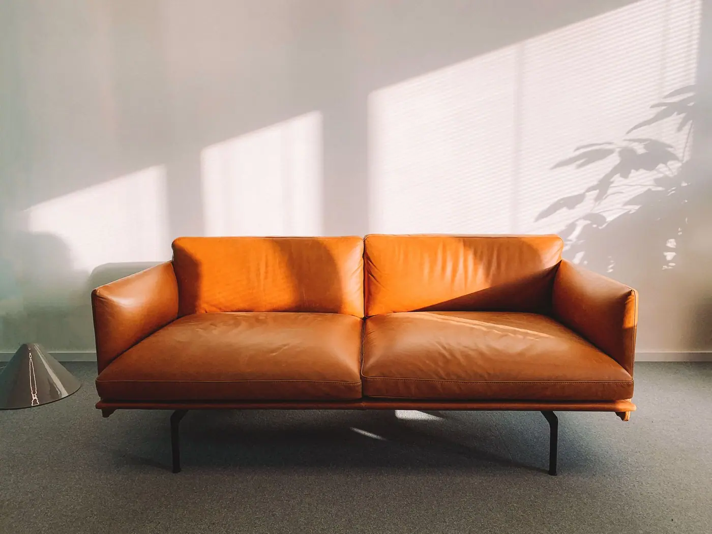 Camel leather sofa with sunlight and a plant shadow on the wall behind it