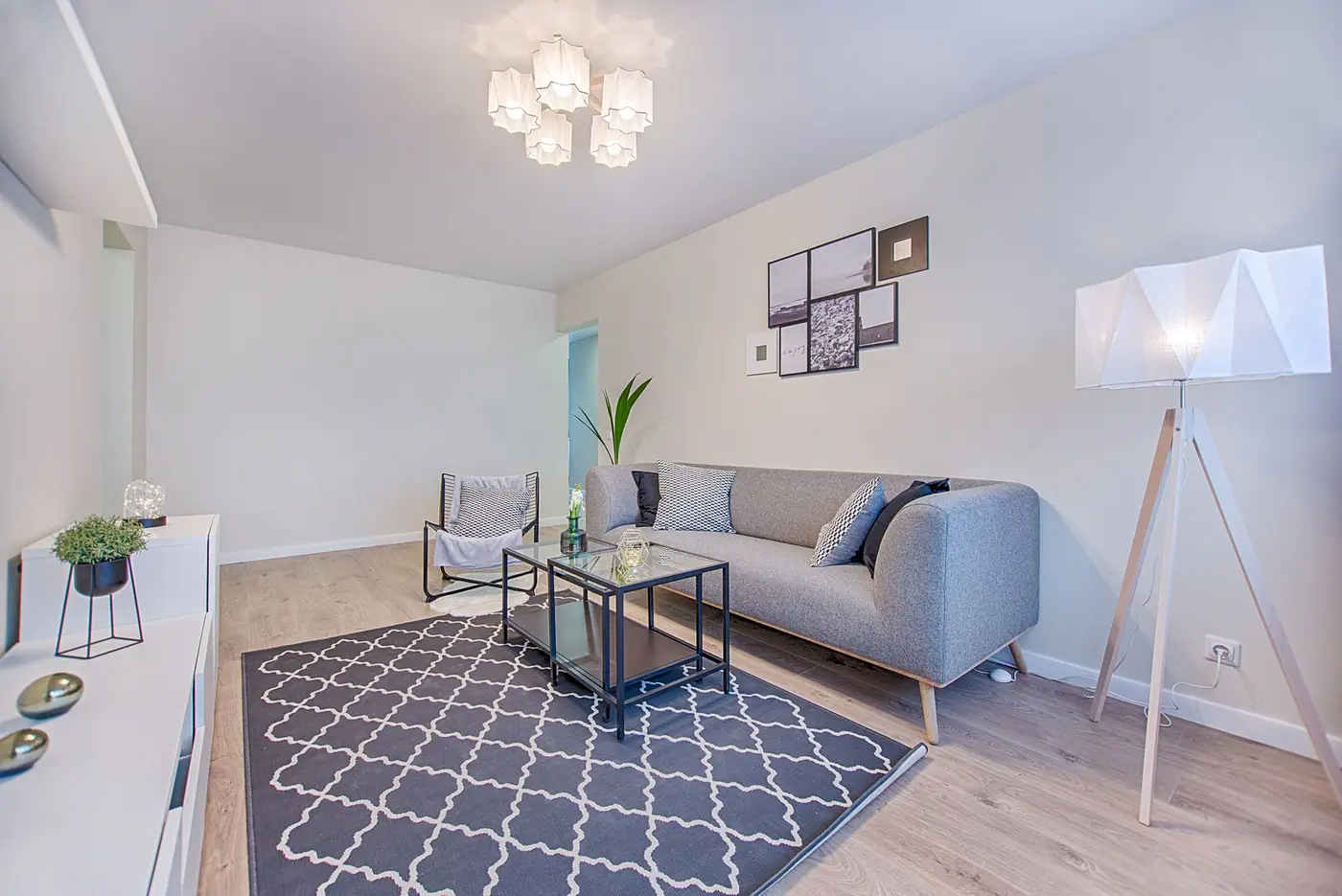 Gray sofa, patterned rug, and a floor lamp in a sparsely furnished room